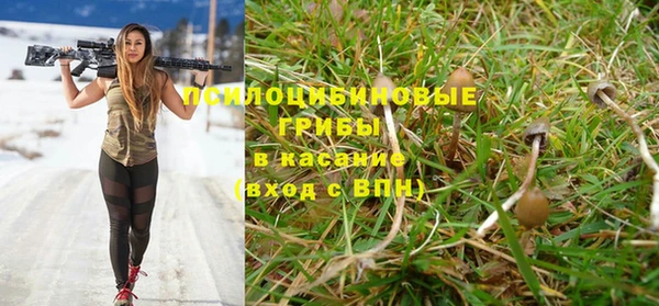 амф Богданович