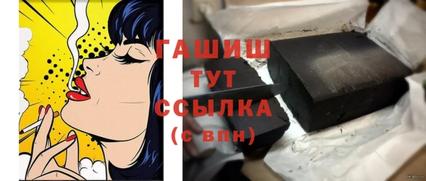 индика Богородицк