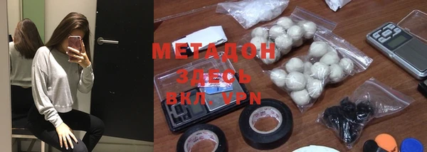 индика Богородицк