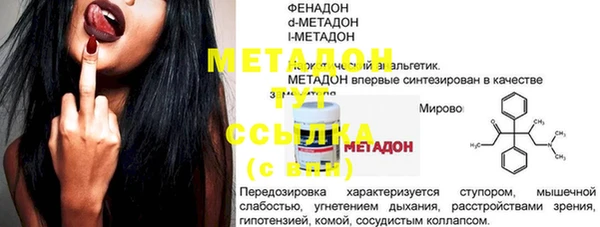 индика Богородицк