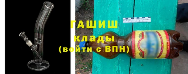 индика Богородицк