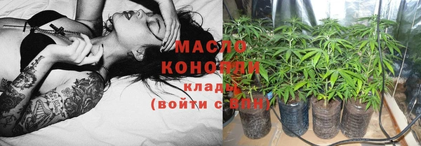 индика Богородицк