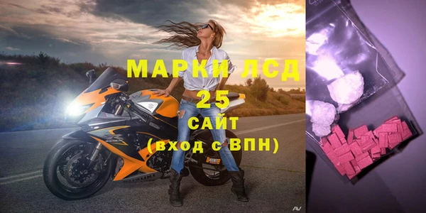 индика Богородицк