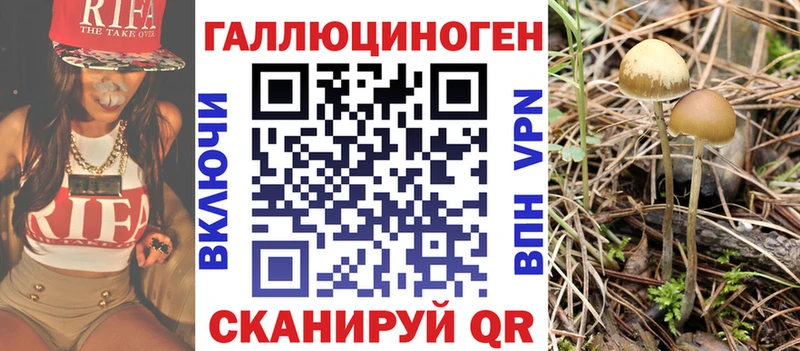 мориарти телеграм  Козьмодемьянск  Псилоцибиновые грибы мицелий  продажа наркотиков 